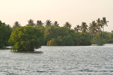 View from the lake shore