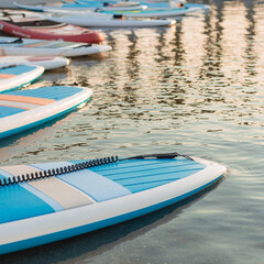 Surf boards on blue clean water surface background. Surfing and SUP boarding equipment in sunset lights close-up. Outdoor water sports. Surfing lifestyle concept.