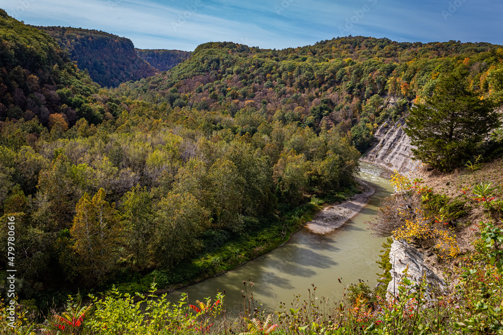 Wall mural Eddys Overlook Letchworth State Park New York