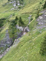 stream in the mountains