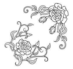 rose flowers corner ornament decoration drawing