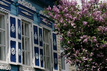 wooden village house window with lilac in spring