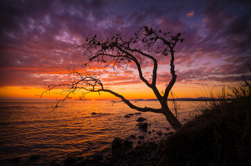 Sunset over the sea, mountains by the sea, sunset in the mountains, sun, summer, hills, ocean, sea,