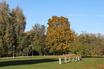 Beautiful autumn view with lovely park with large tree.