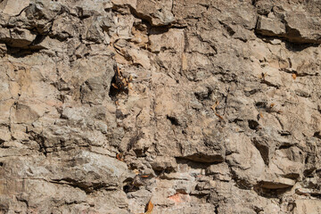 Natural landscape view of dolomite outcrop wall in nature.