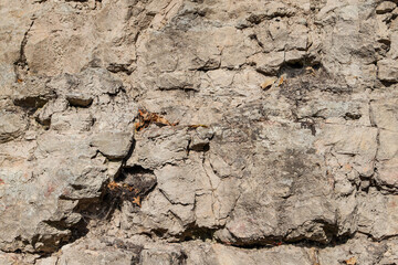 Natural landscape view of dolomite outcrop wall in nature.