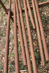 Rusty scaffolding tubes