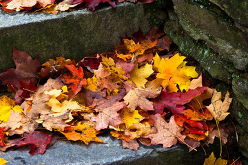 Autumn leaves on stone stairs in Massachusetts 