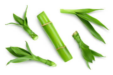 Green bamboo with leaves isolated on white background with clipping path and full depth of field....