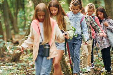 Obraz premium Walking on the new path. Kids in green forest at summer daytime together