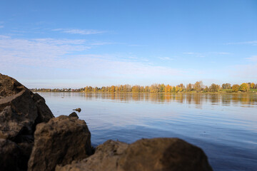Autumn landscape view near river with autumn trees.