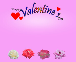 Happy Valentine's Day Postcard with rose on pink background