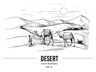 Sahara desert sketch. Vector illustration of sand dunes and camels