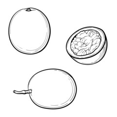 Hand-drawn passion fruit. Vector illustration of fruits isolated on a white background.