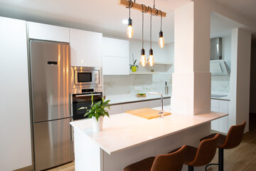 modern kitchen perfectly equipped with its appliances in a house