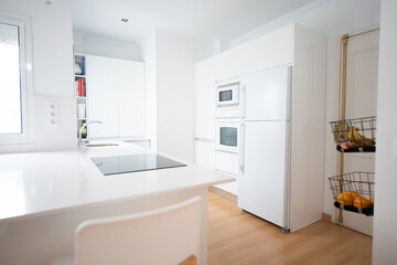 Fototapeta na wymiar modern kitchen perfectly equipped with its appliances in a house