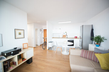 modern kitchen perfectly equipped with its appliances in a house