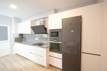 Fototapeta premium modern kitchen perfectly equipped with its appliances in a house