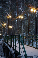 Snowy forest and bridge
