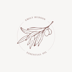 Elegant Logo template with olive branch - simple linear style