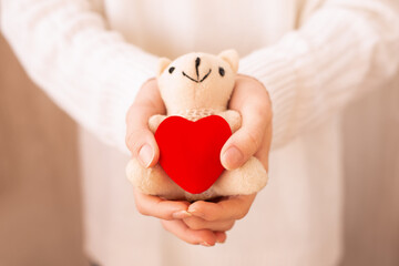 cute tender Valentine's Day card, arms outstretched forward with a little toy Teddy bear holding a heart, Selective focus. Hands hold the toy with heart. Congratulation, marriage proposal, declaration