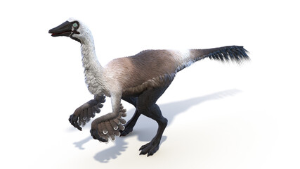 3d rendered illustration of a Gallinimus