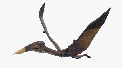 3d rendered illustration of a Hazegopteryx © Sebastian Kaulitzki