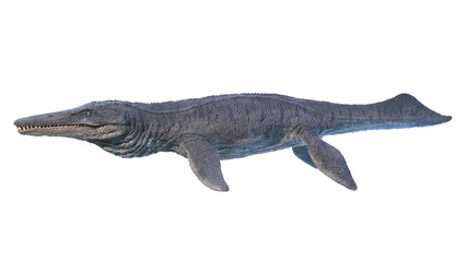 3d rendered illustration of a Kronosaurus