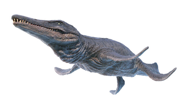 3d rendered illustration of a Kronosaurus