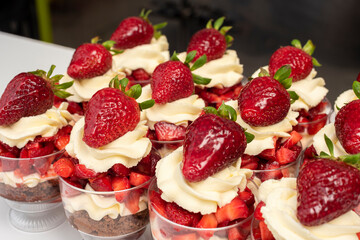 Pastry chef preparing step by step delicious dessert black forest or chip with chocolate biscuit,...