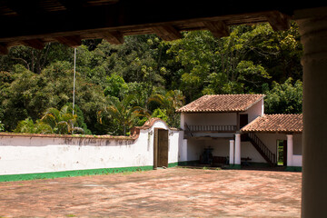 Green places full of peace of mind in el avila public park. Traveling through Caracas, knowing...