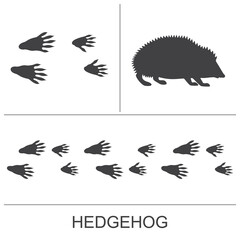 Hedgehog silhouette and prints of the hind and fore paws. Vector illustration. © OnD