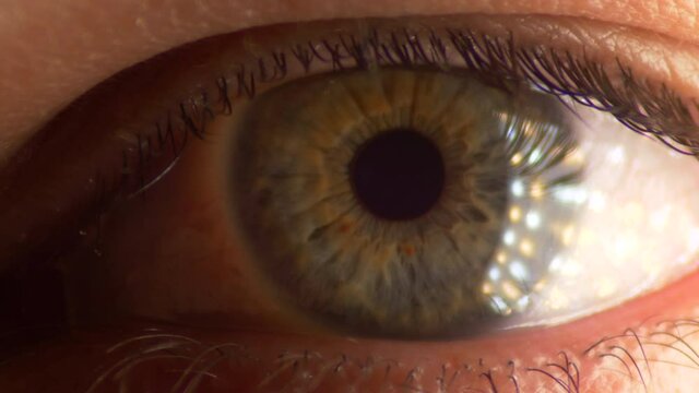 Beautiful clear human eye blinking. Macro close up, static