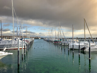 Bodensee bei Konstanz im Winter