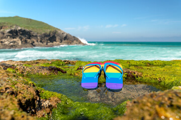 colorful flip flops (lgbt flag) on ​​the green algae of the rocky beaches of Cantabria in Spain.