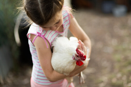 Young farm kid holding her white pet chook