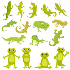 Gecko icon cartoon vector. Chameleon animal. Amphibian lizard