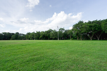 landscape of grass field and green environment public park use as natural background, backdrop.