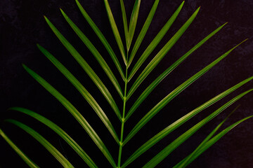 Obraz premium abstract background