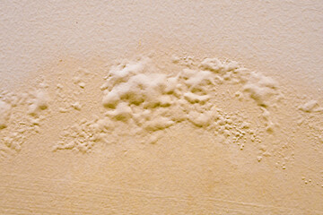 Brown wall damp damaged with peeling paint