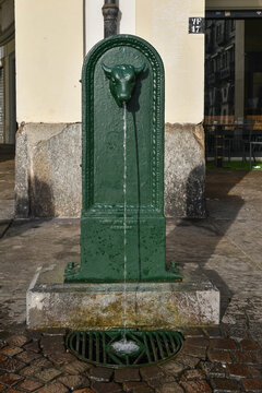Close up of a "Toret" (little bull) public fountain; the head of bull represents the animal symbol of the city of Turin in Piedmont, Italy