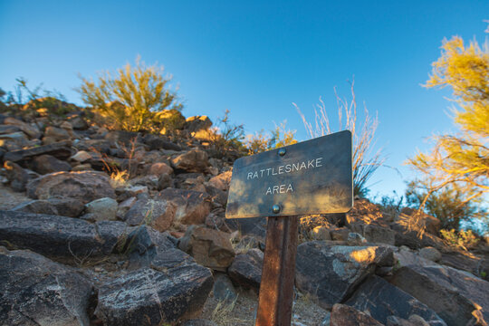 ragglesnake sign in the desert