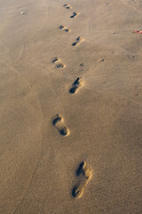 Huellas de un caminante en la arena de la playa