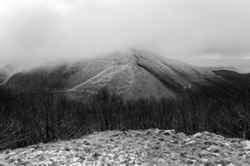 Beautiful winter atmosphere with trees full of frozen snow. Snowy black and white landscape