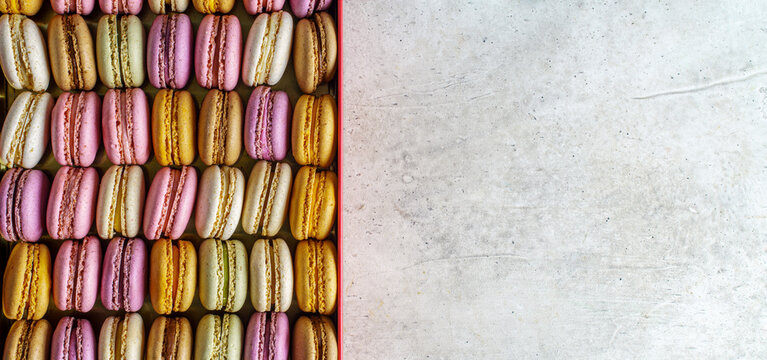 Colorful french macarons on gray concrete background with copy space, bakery concept.