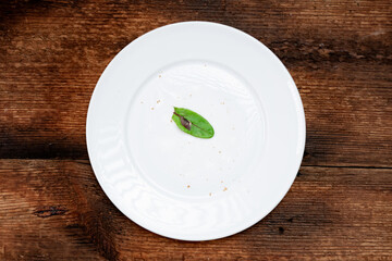 Green leaf on a white plate. dark wooden background. Diet concept. Top view.