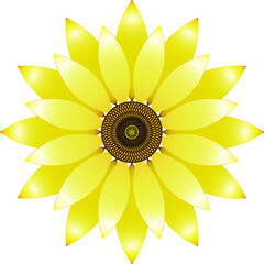 Sunflower flower, icon, vector.