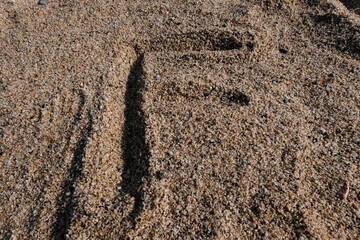 English alphabet. Sand on the beach. The letter F
