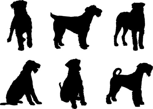 Airedale Terrier Dog Silhouette Vector Pack