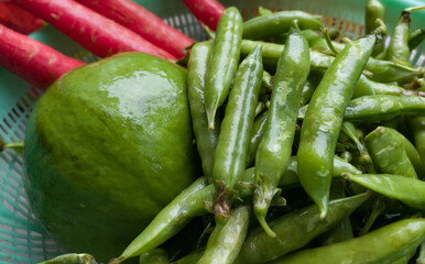 assorted winter vegetables. green peas, papaya, carrots freshly harvested from organic farm and kept together.